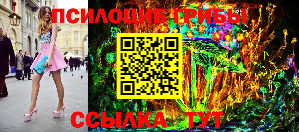 Галлюциногенные грибы Psilocybe Богородск