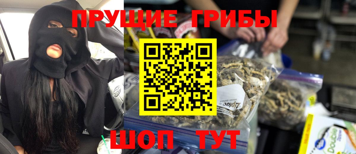 Галлюциногенные грибы Psilocybe  Вход с VPN  Богородск 